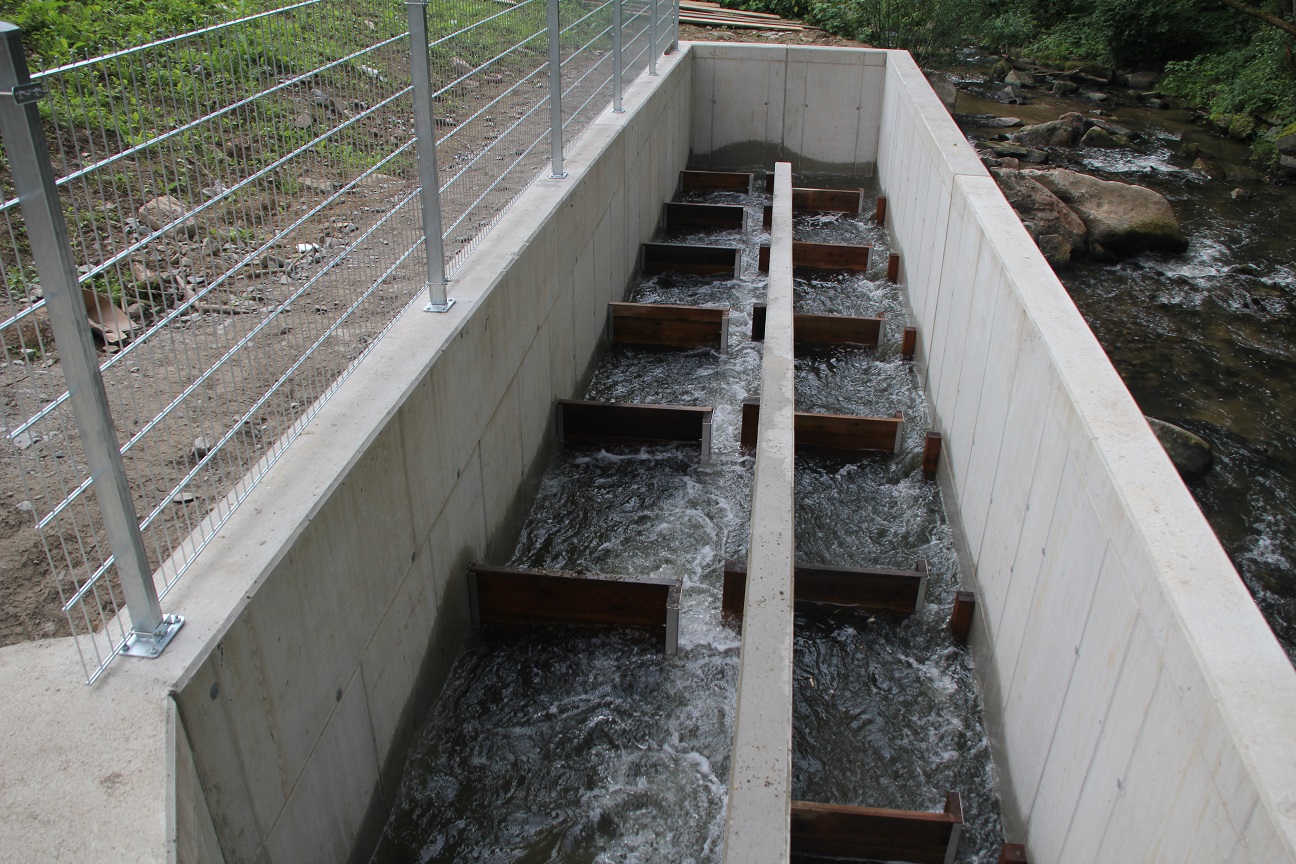 Fischaufstiegshilfe Kraftwerk Klammühle